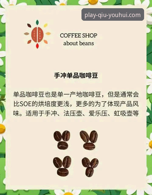 球友会下载全攻略：从入门到精通的实用指南
